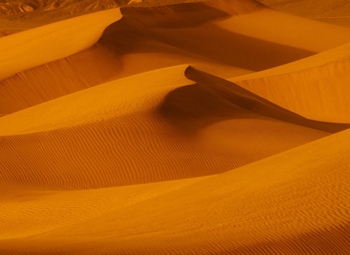 Jeff Mihaly tweet media