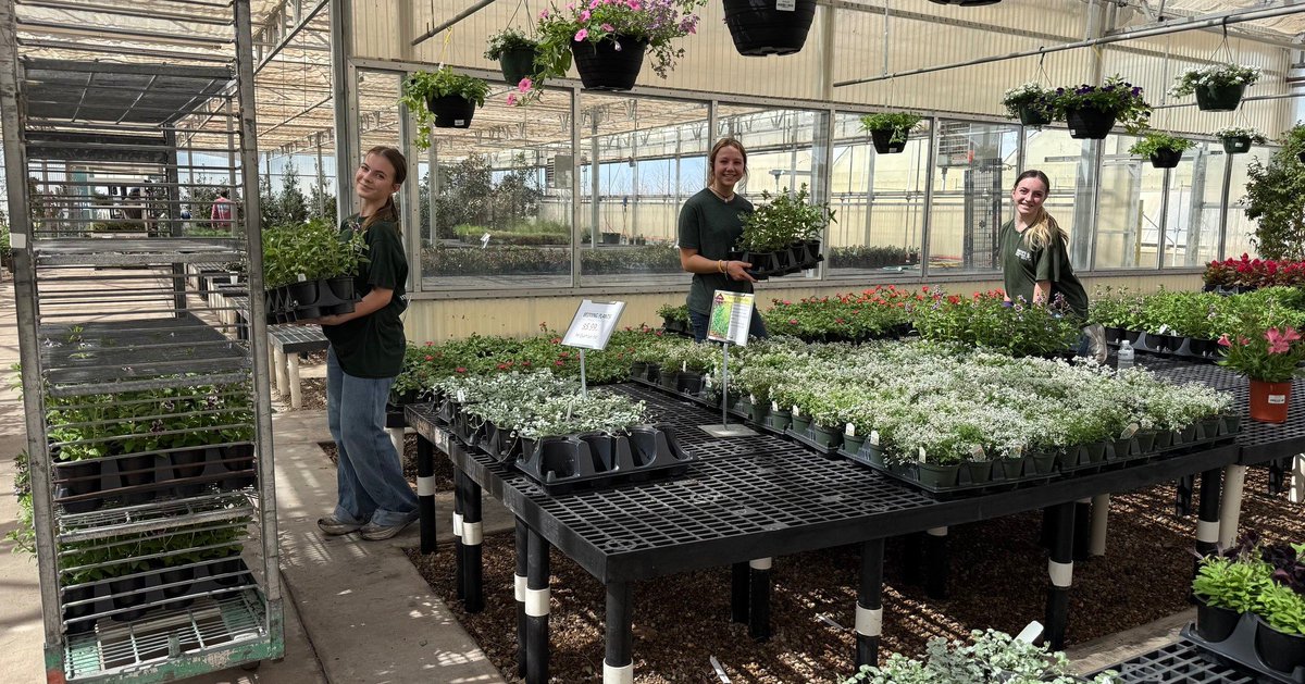 Clint Fiore 🦬 DM for Biz Deals tweet media