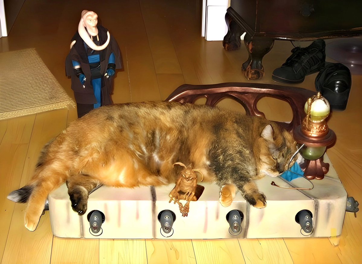 Star Wars Culture tweet media