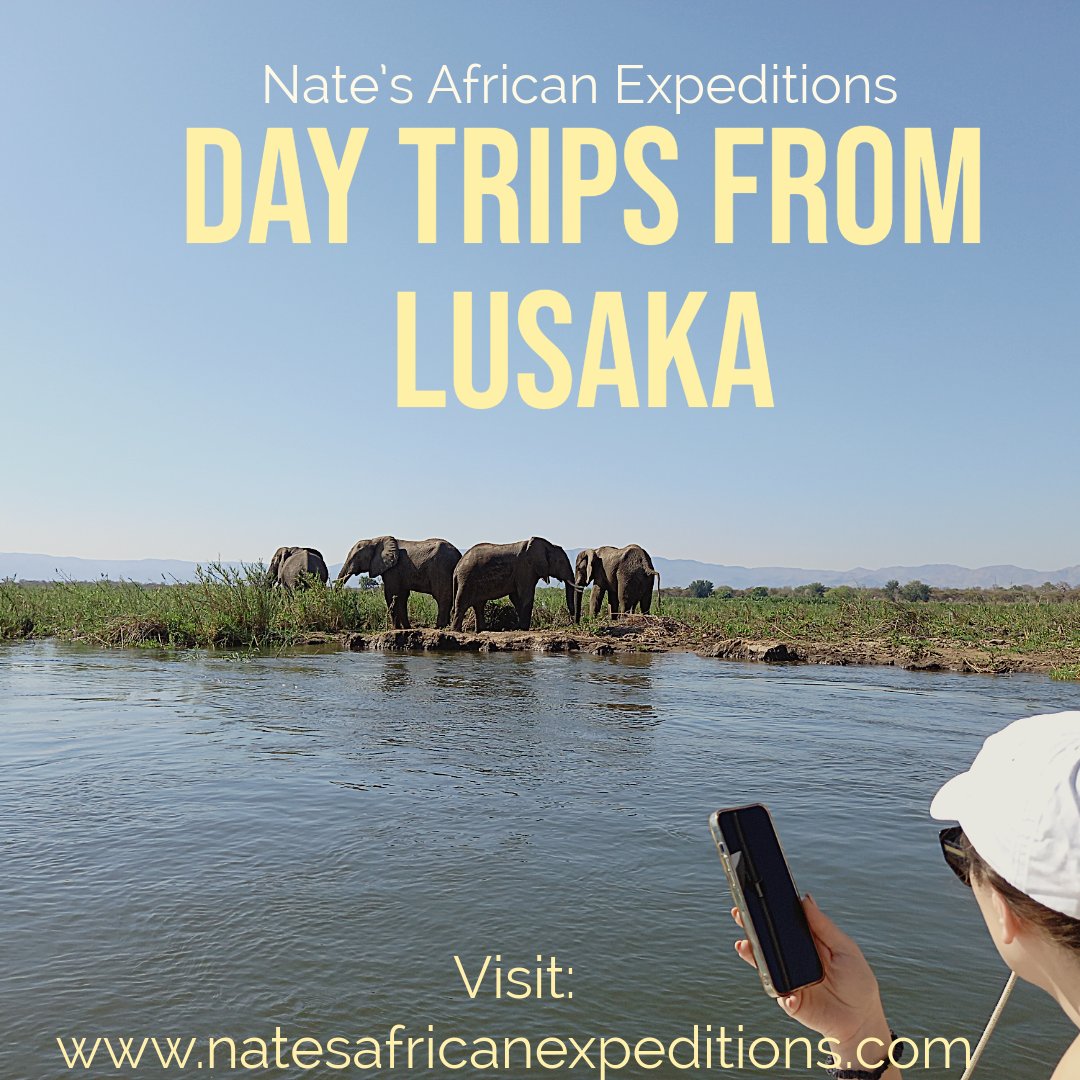 ExpeditionsNate's tweet photo. Looking for an exciting day away from Lusaka?
These day trips from Lusaka will unleash your adventurous side.
* Lake Kariba Day Tour from Lusaka
* Lower Zambezi (Chiawa) Day Tour from Lusaka
* Bat Caves (Chiawa) Day Tour from Lusaka.
https://t.co/kcBt3T1wGw https://t.co/3nHjVHp8Hj