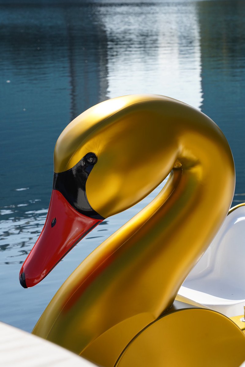 Lake Eola tweet media