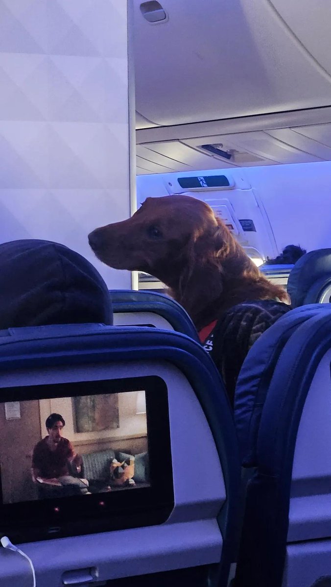 Datos Aeronáuticos ◽ tweet media