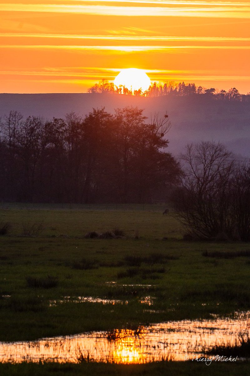 Thierry michel photographie tweet media