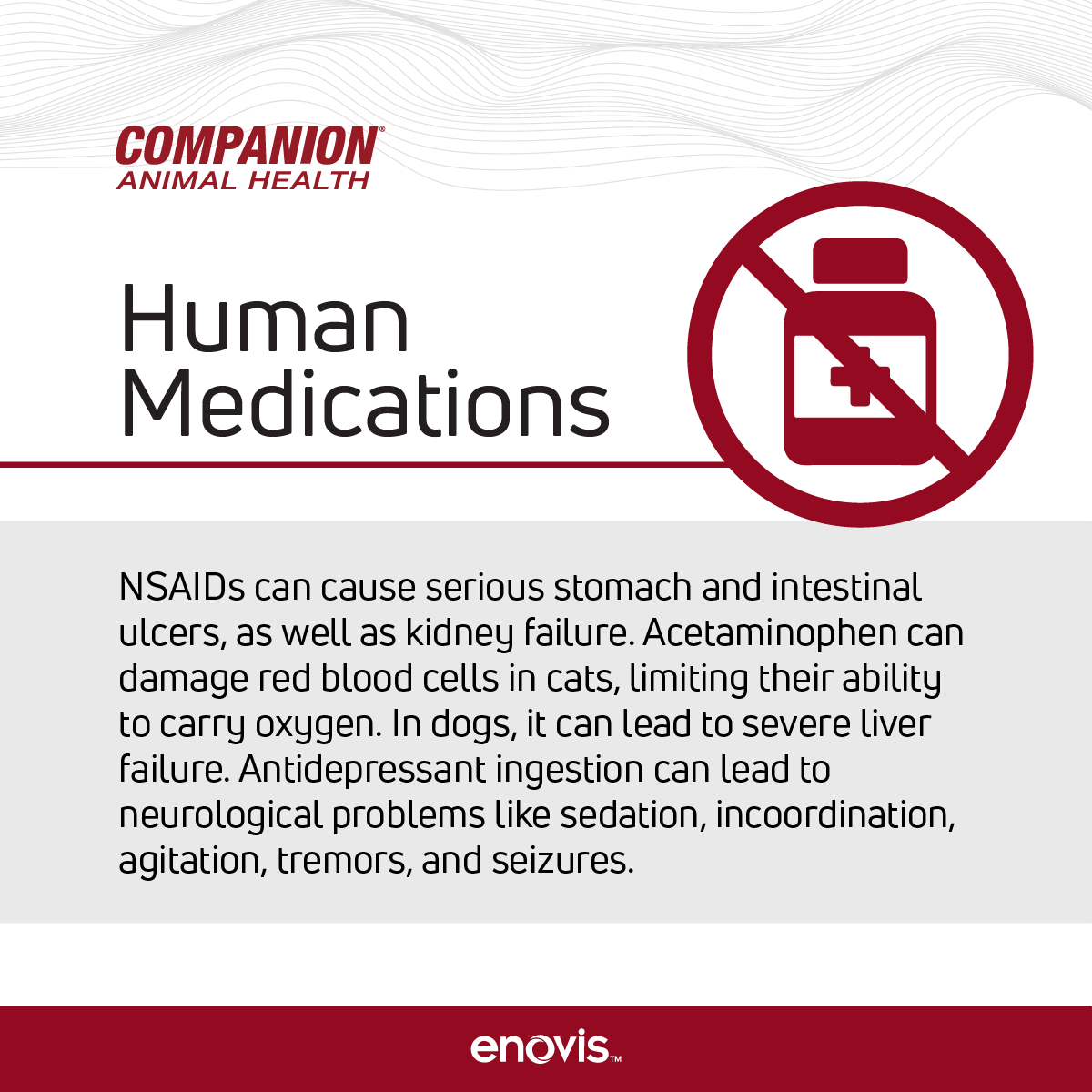 Companion Animal Health tweet media