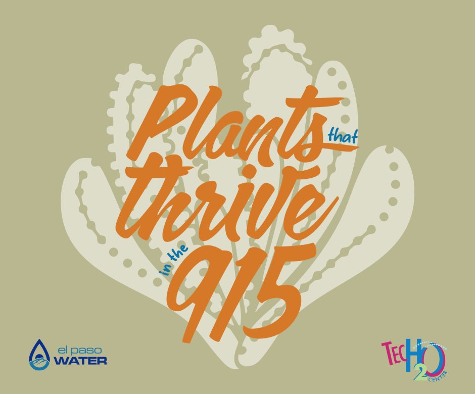 El Paso Water tweet media