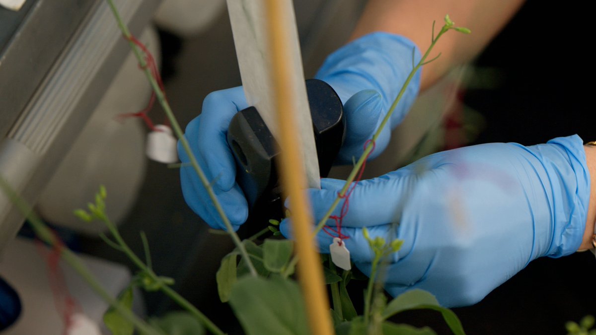 Scott Moe tweet media