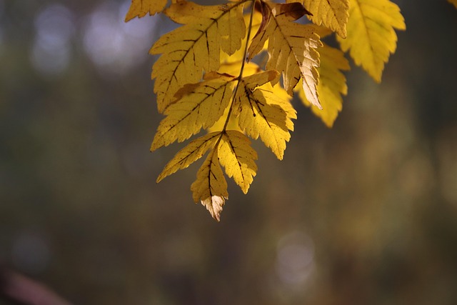 Jodi Hanson tweet media