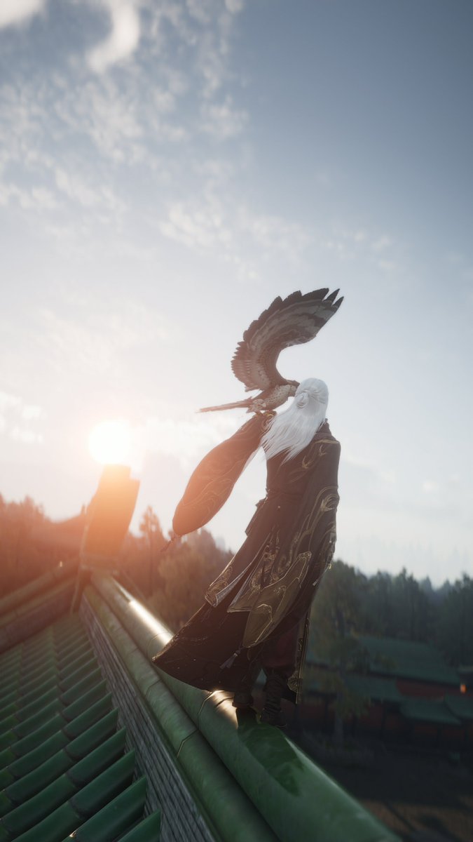 Acalypha tweet media