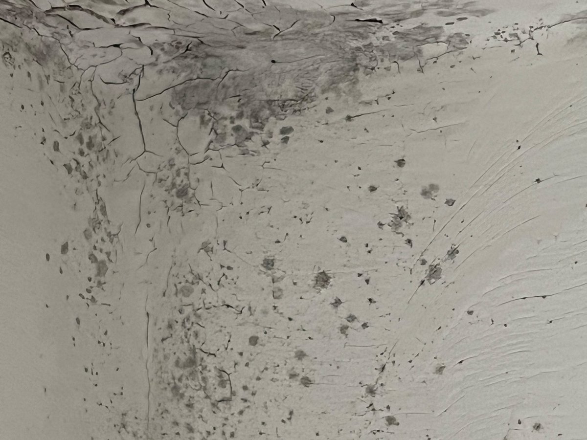FrontDisplay's tweet photo. @CamdenCouncil 

It has been 33 weeks since we reported serious damp and mould to  @CamdenCouncil ,which is far beyond a reasonable timeframe and violates housing repair obligations.

@SCOAF_UK 

 #solicitors

@OsbornesLaw https://t.co/Ag7HhWWm4p