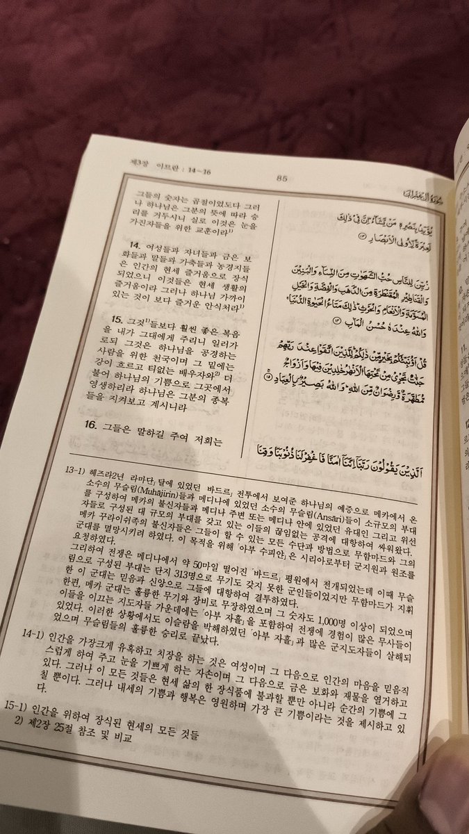 Yaxter ⚜️ tweet media