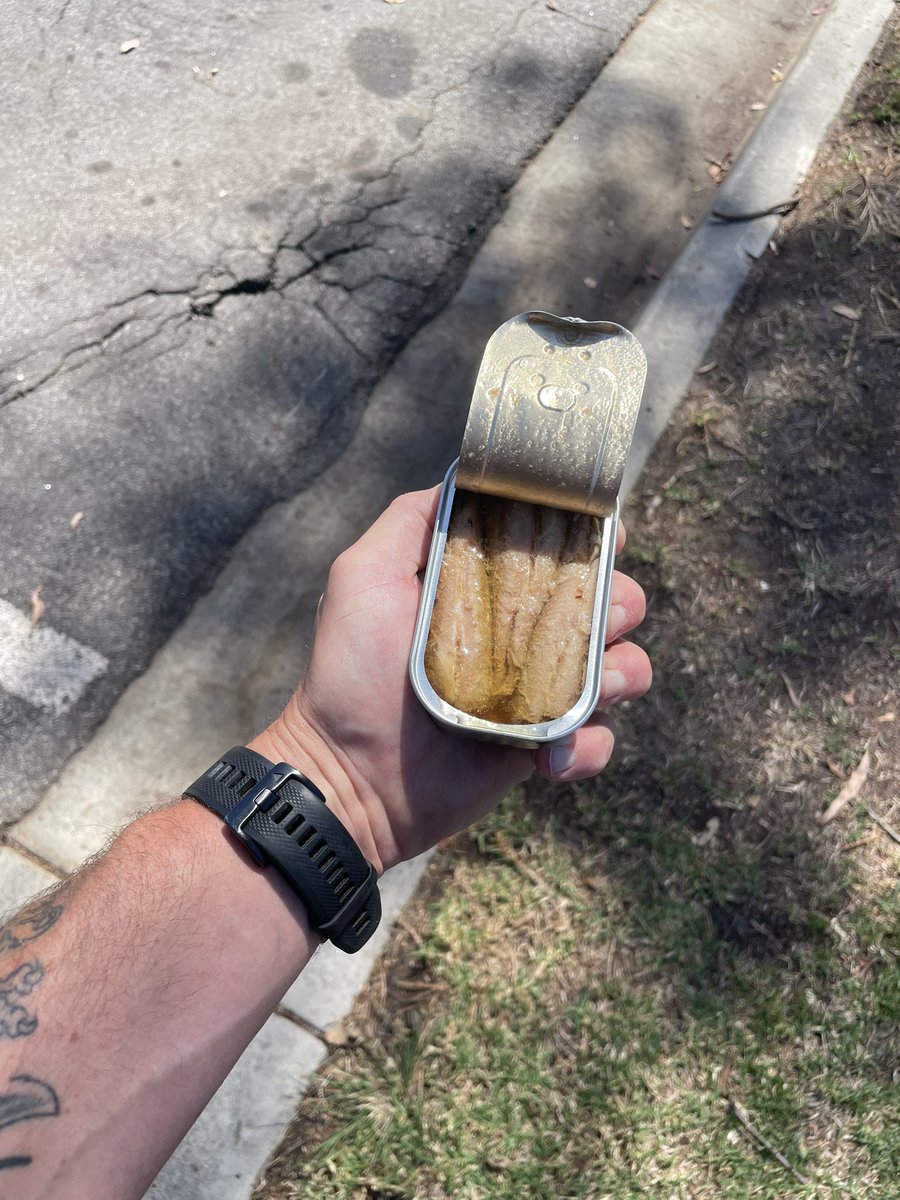 Calisthenic Kyle tweet media