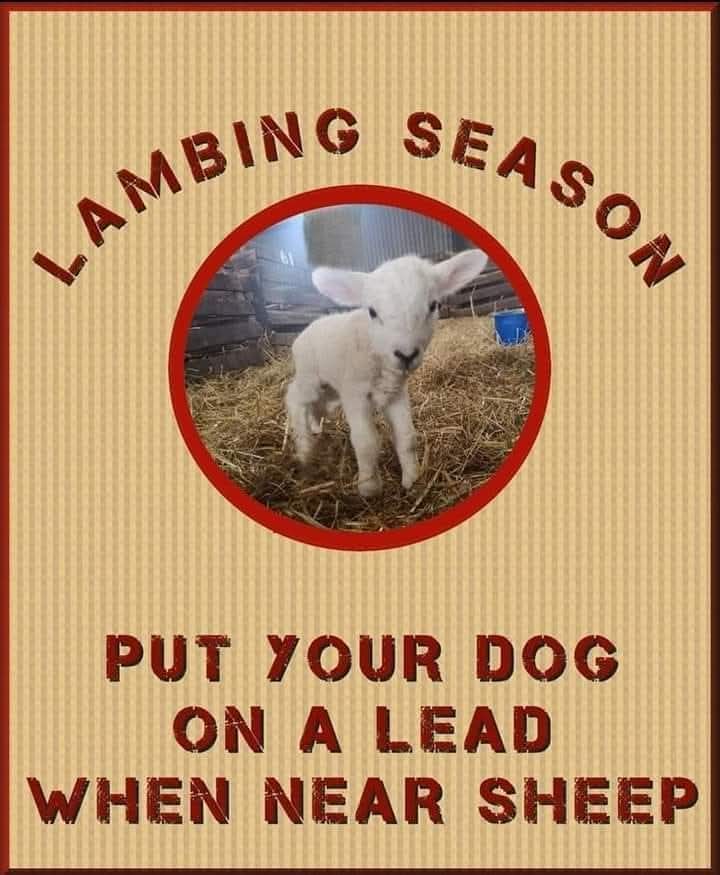 Litchdon Med Centre tweet media