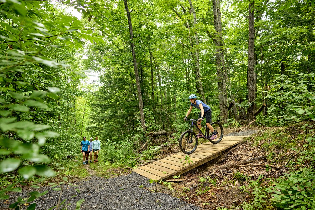 visitmaine's tweet image. All things green today! 💚🍀 #MaineThing #StPatricksDay