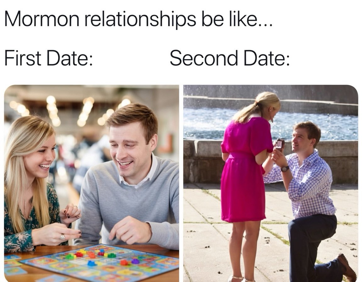 Koya 🥩🌞📚 tweet media