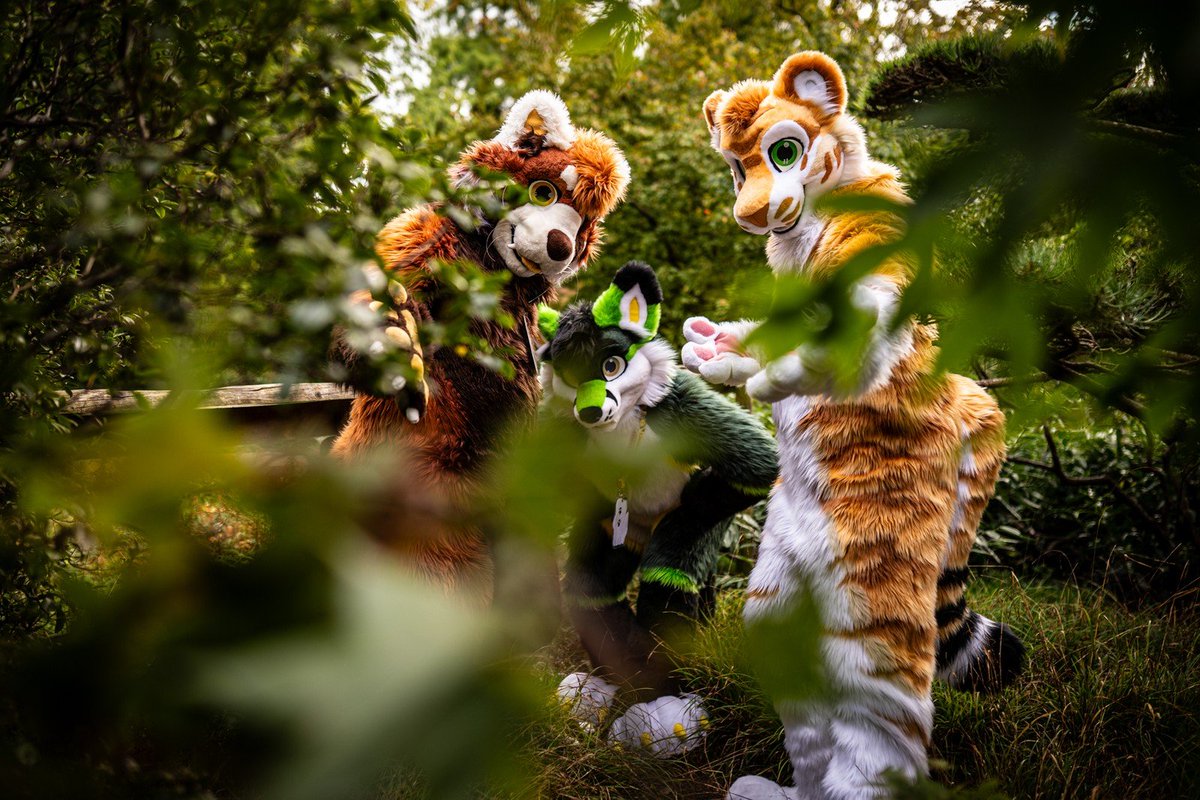 CaidaTigre tweet media