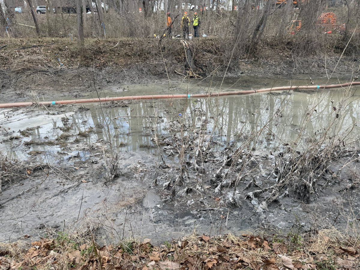 Mark Segraves tweet media