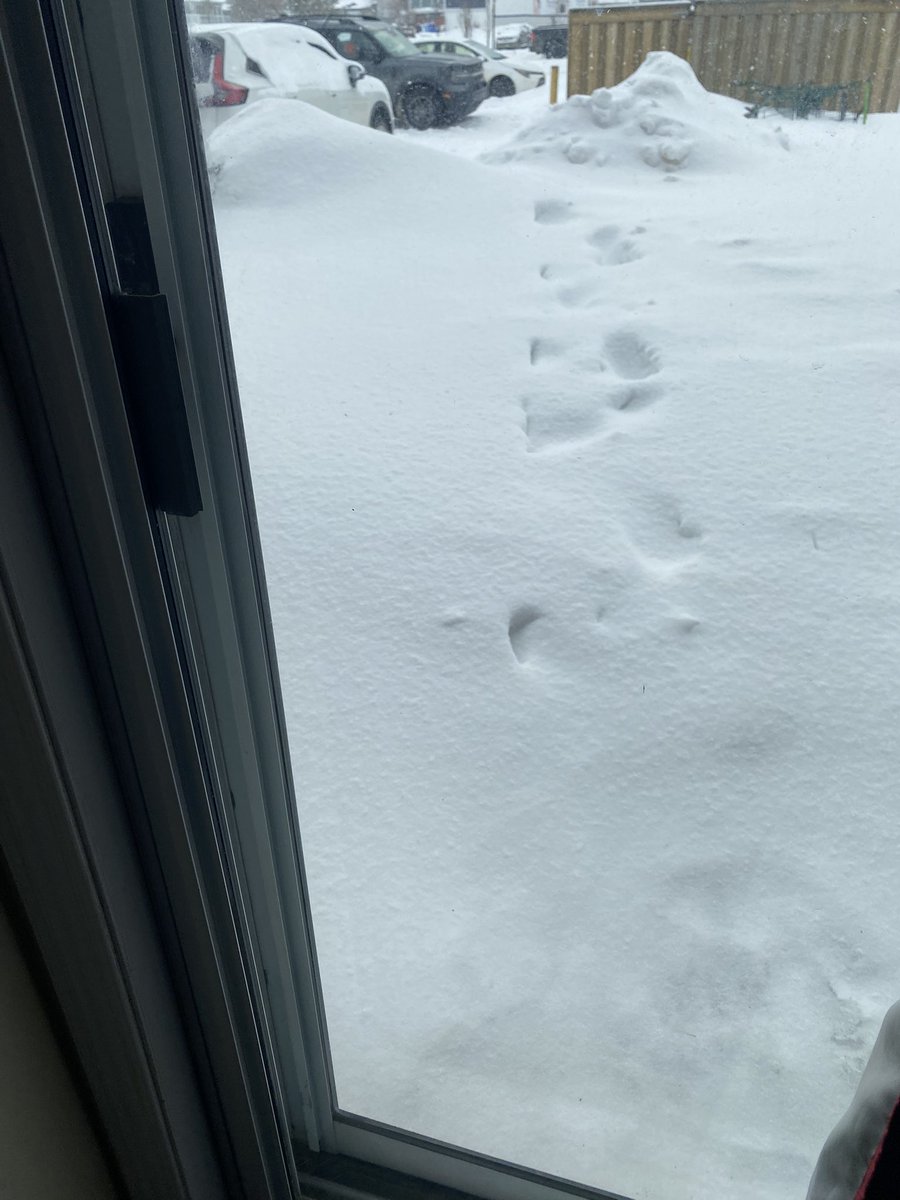 𝓜𝓸𝓷𝓲𝓴𝓪 tweet media