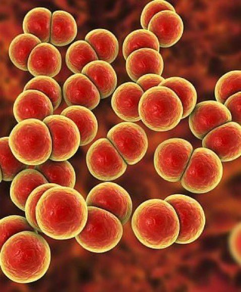 BRITAIN IS BROKEN 🇬🇧 tweet media