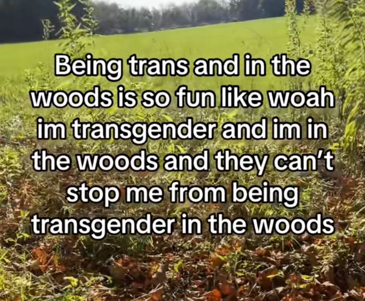 rio 🪲 bug oomf tweet media