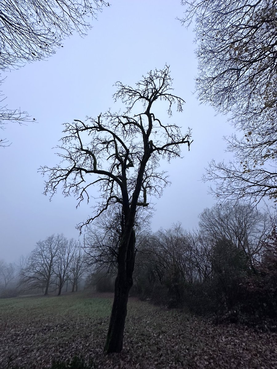 Gaia-Uranus tweet media