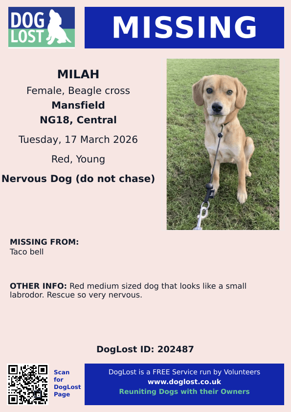 millypod1's tweet image. 🆘17 MAR 2026 #Lost Milah #ScanMe
YOUNG NERVOUS Beagle Cross Female #Rescue 
extending lead snapped near Taco Bell #Mansfield. Possible sighting at Flying High Academy, Hall Barn Lane, Ladybrook #Nottinghamshire #NG18
doglost.co.uk/dog/202487