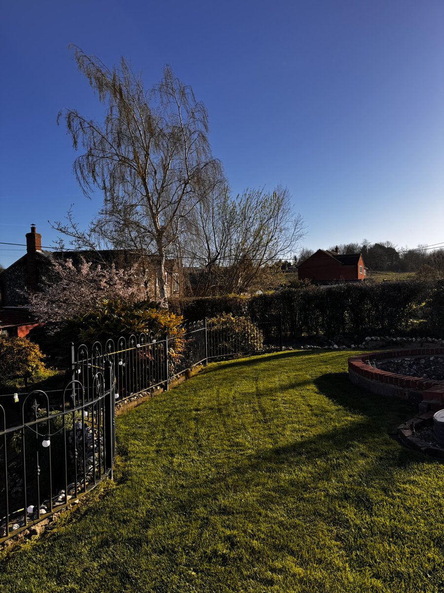 DH Maintenance tweet media