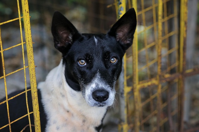 Orbert Hodges tweet media