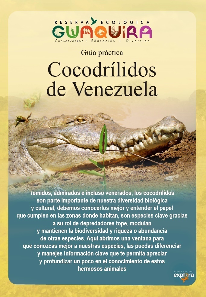 AlbertoBlancoDávila tweet media