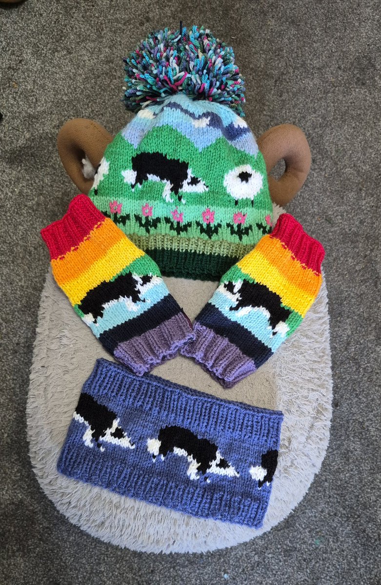 The Yorkshire Grey Sheep tweet media