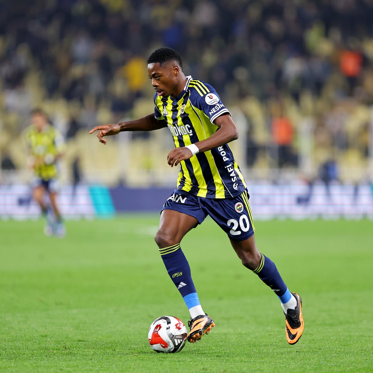 Fenerbahçe SK tweet media