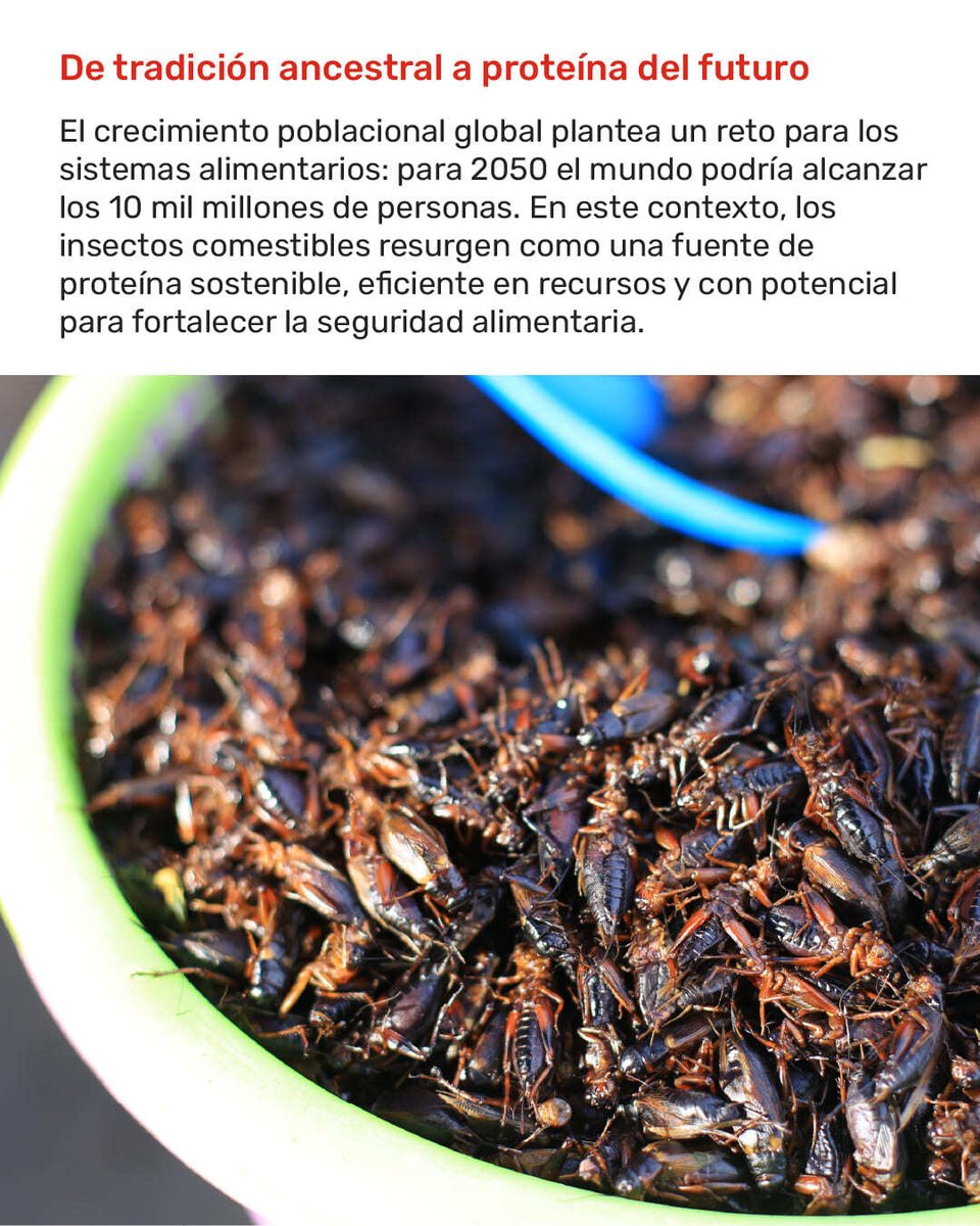 The Food Tech ® tweet media