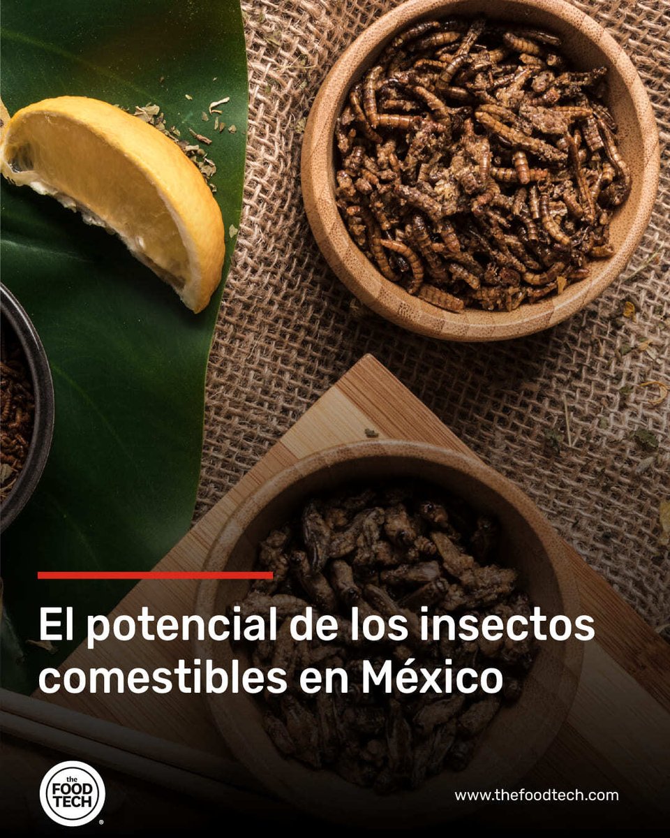 The Food Tech ® tweet media