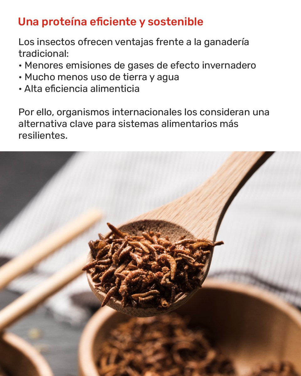 The Food Tech ® tweet media