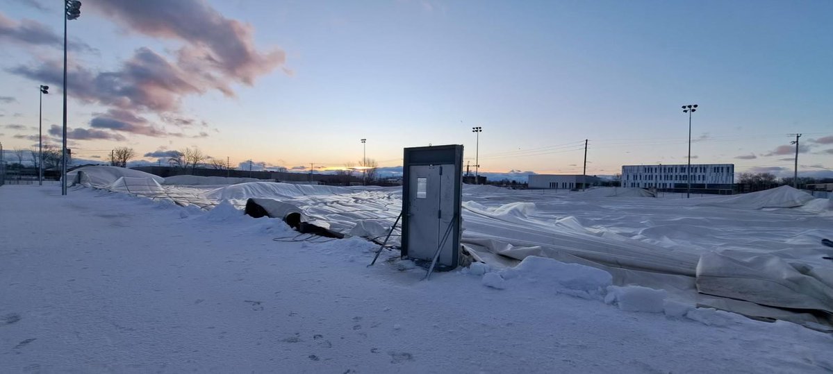 Maxime Truman tweet media