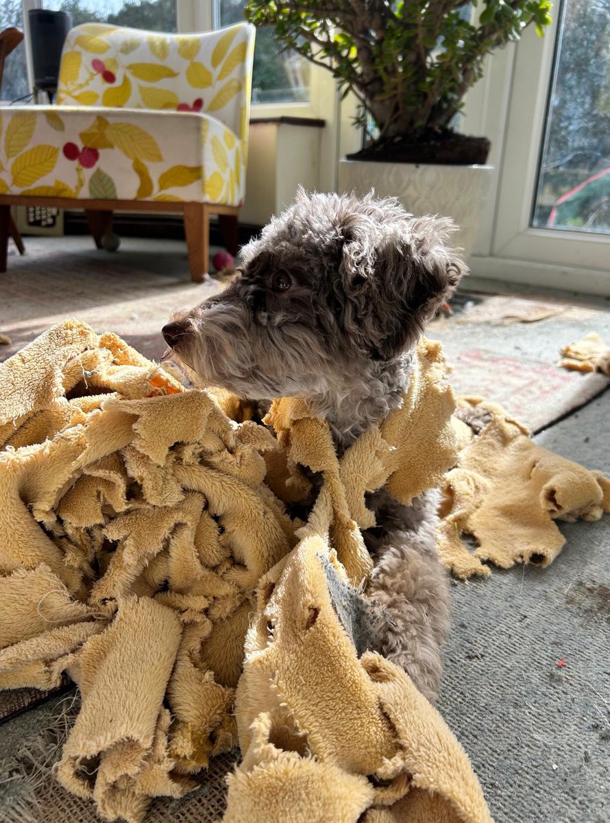 BeMoreBob tweet media