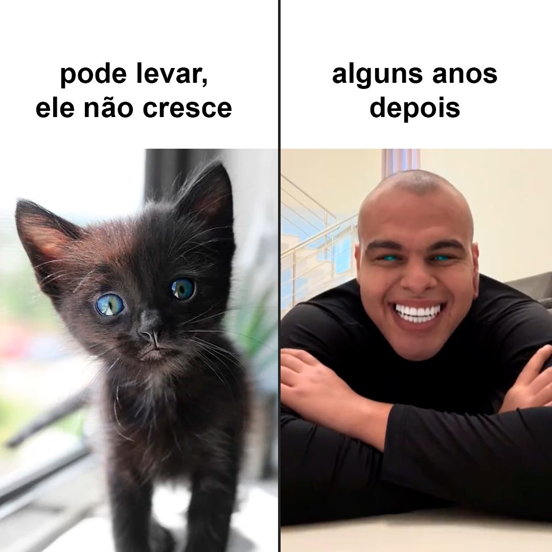 Maicon Küsterposting tweet media