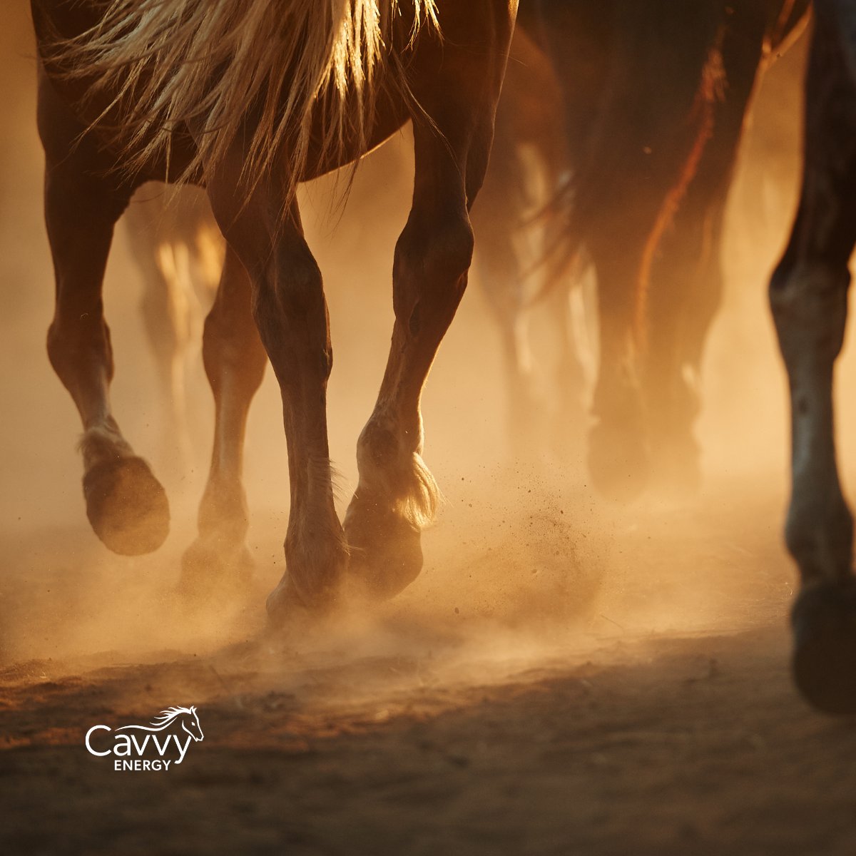 Strength and reliability are expectations.

At Cavvy Energy, our work is built on showing up consistently, doing the job right, and delivering dependable outcomes.