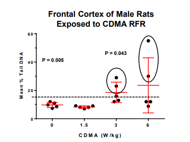 cs3000_'s tweet photo. @texugodum3l @anabology Took a large amount to start brain dna oxidative stress (idk about shallower e.g skin, also they get a high amount of vitamins minerals as a baseline)
https://t.co/wVaDzN6yoS https://t.co/oTlZdBzk9D
