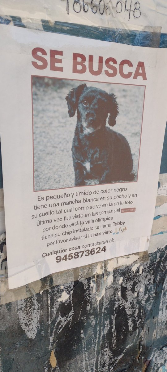 Quilpué villa olímpica