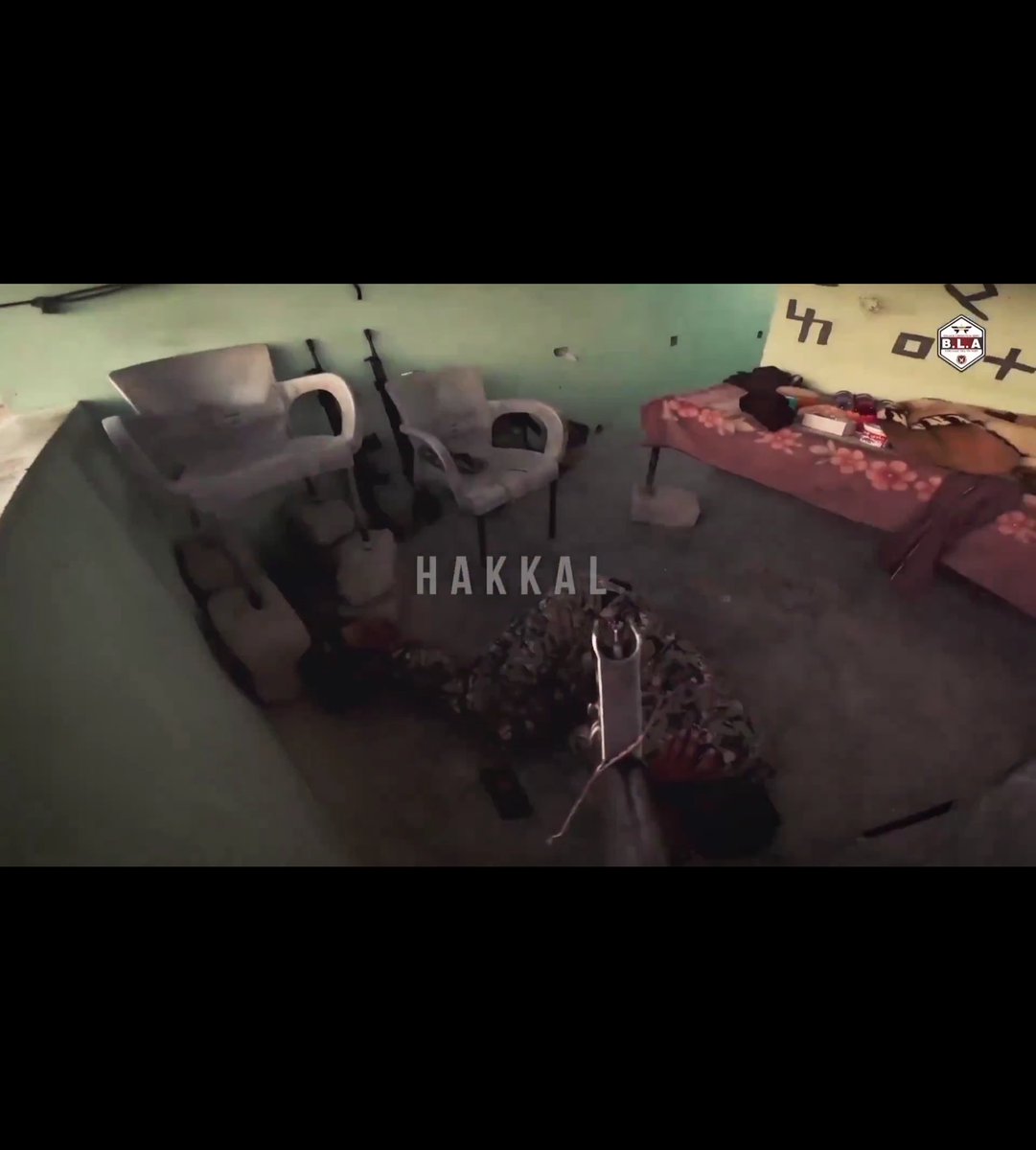 ZukoMomo tweet media