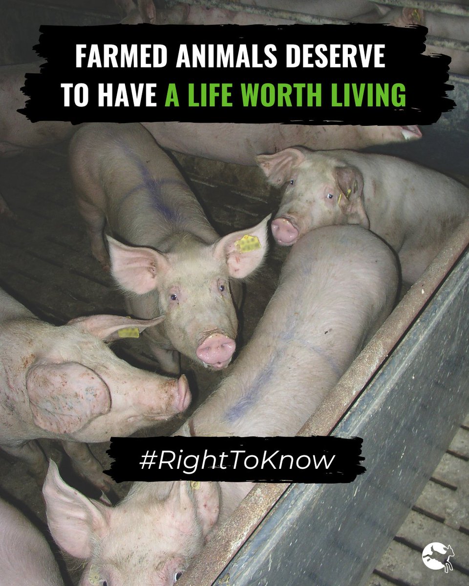 Compassion in World Farming UK tweet media