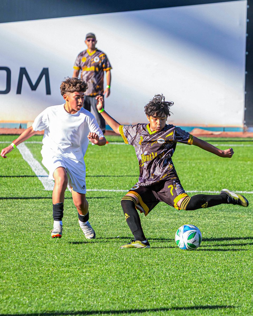 Las Vegas Lights FC tweet media