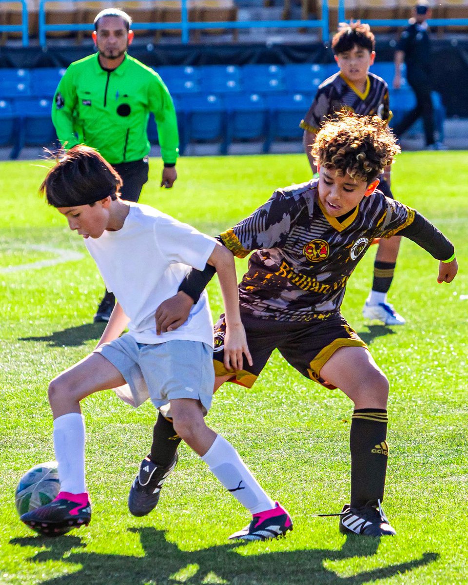 Las Vegas Lights FC tweet media