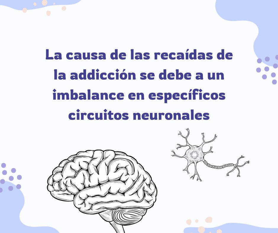 NCPC Central Cal tweet media