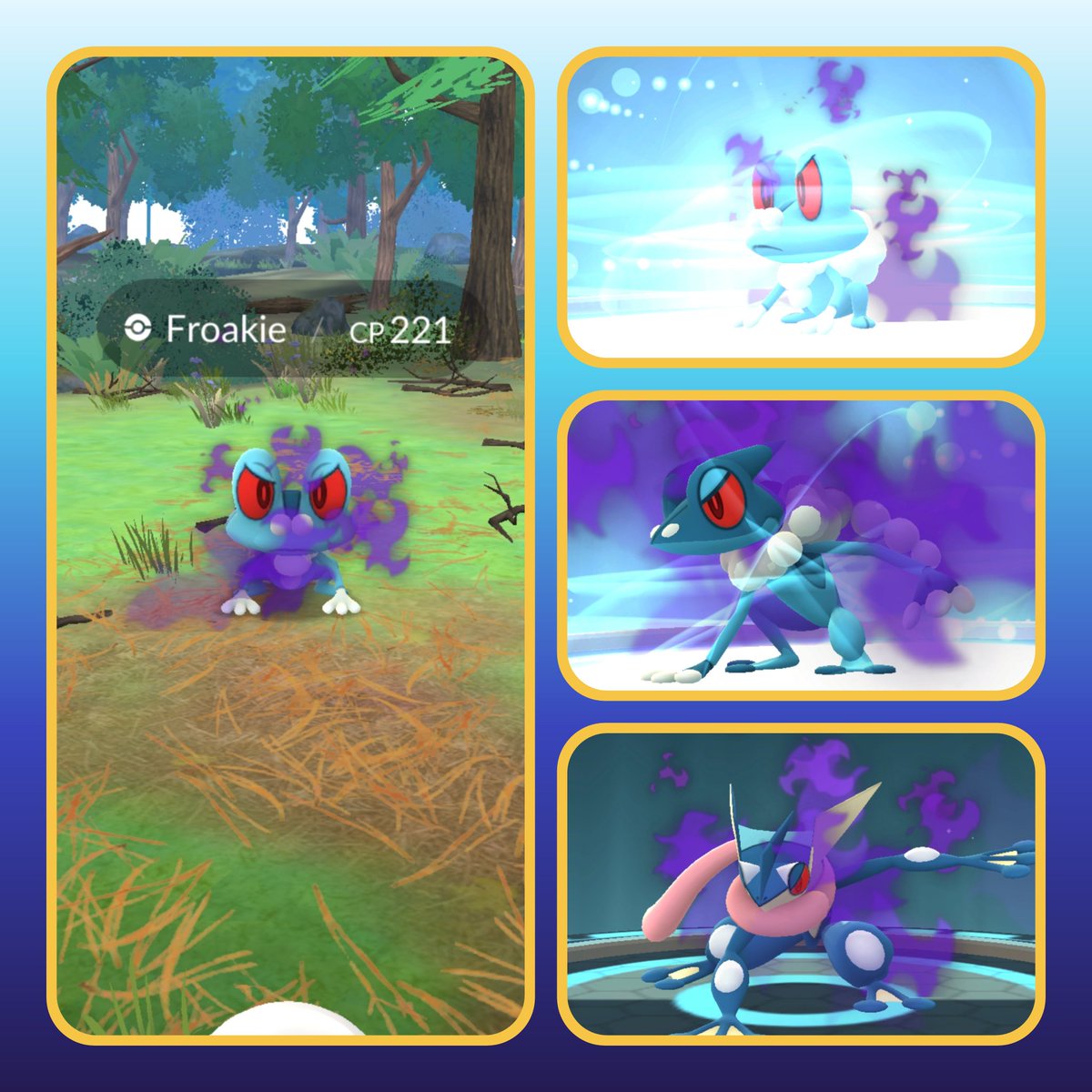 Aquatictoise tweet media