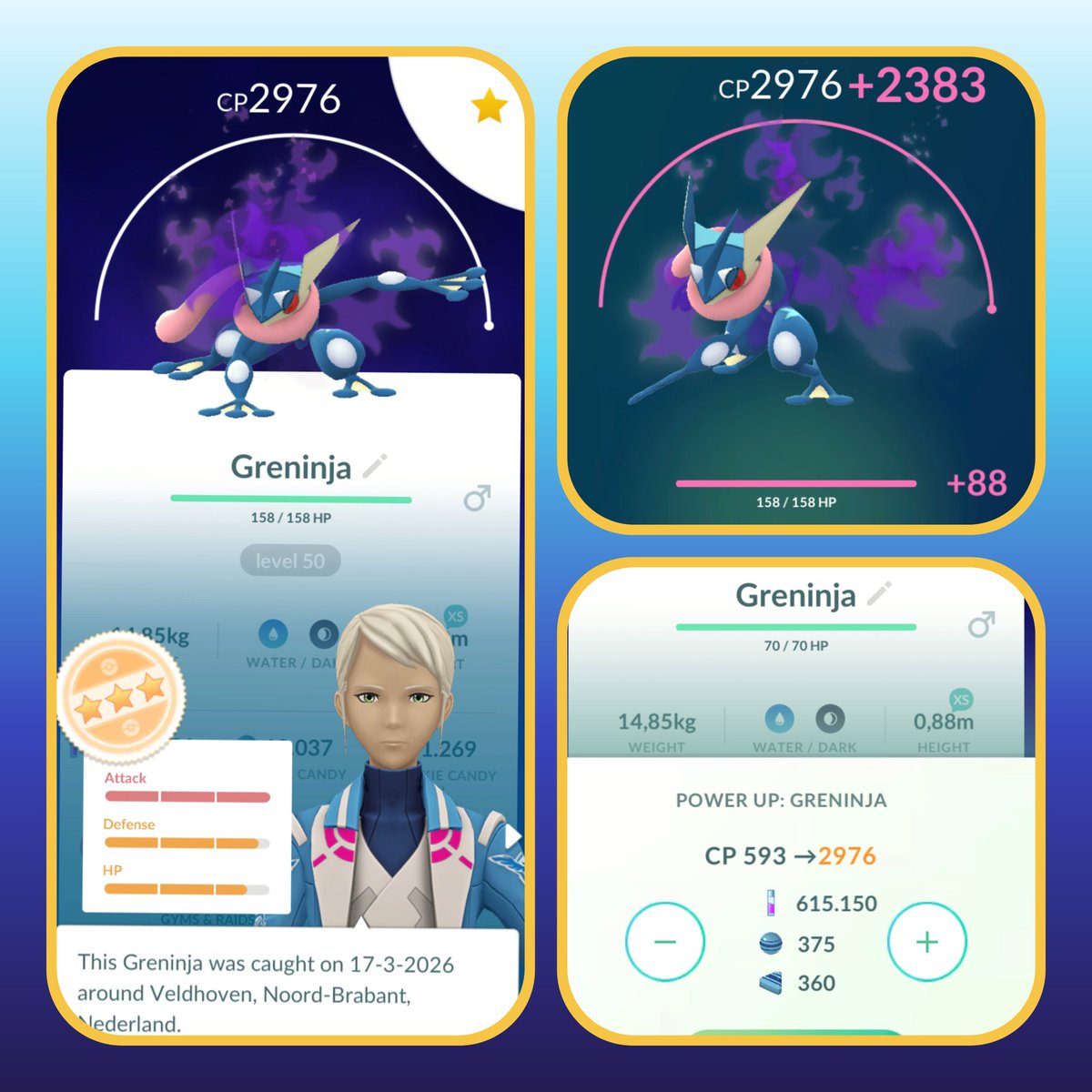 Aquatictoise tweet media