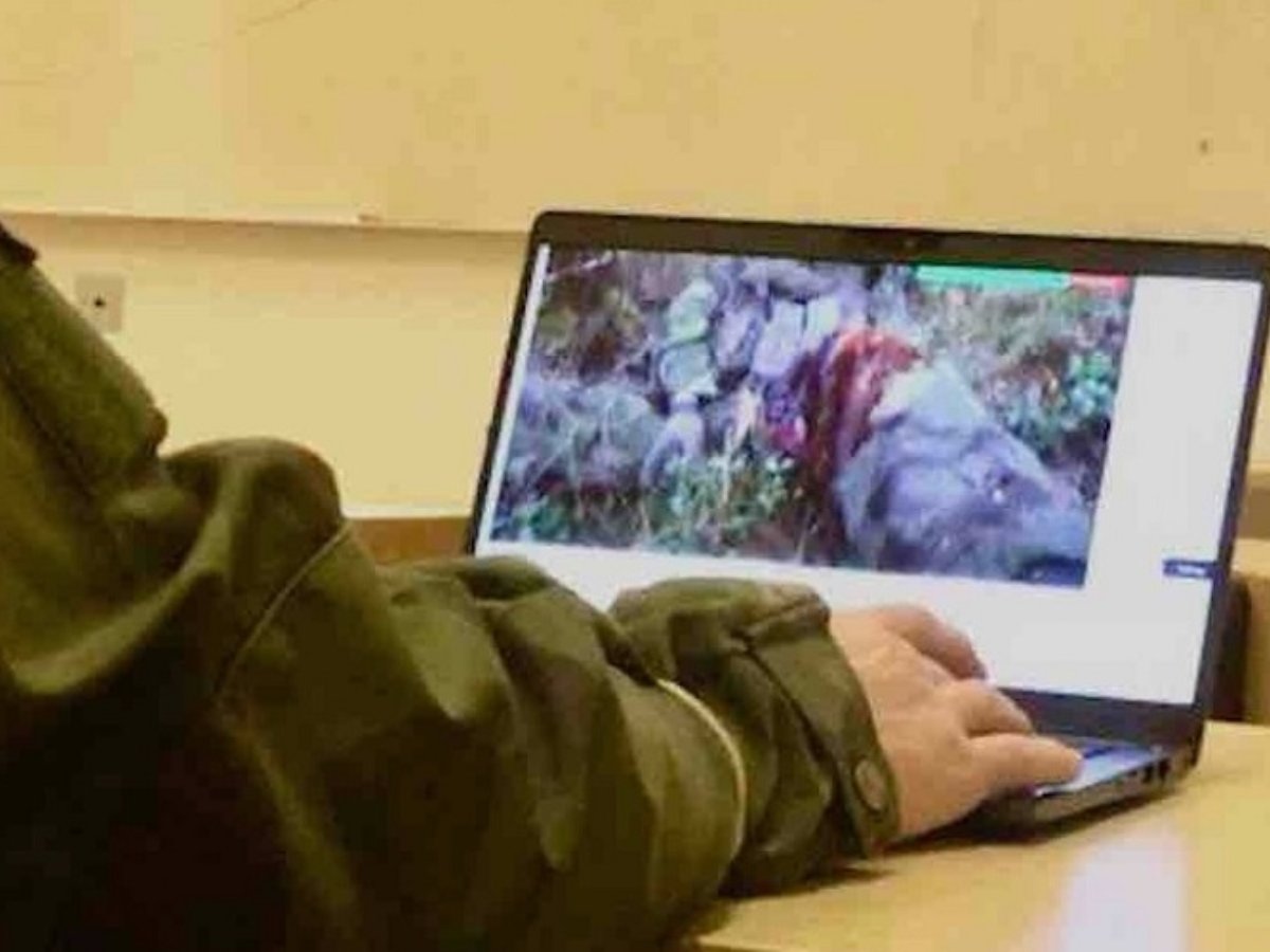 JMIR Publications tweet media