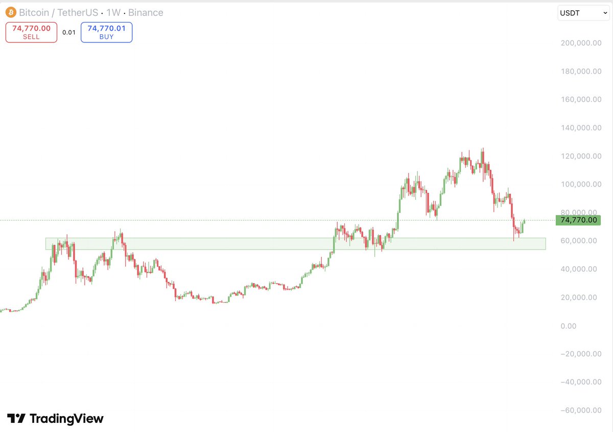 Evca Wolf tweet media