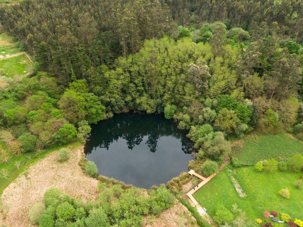 Spain in USA tweet media