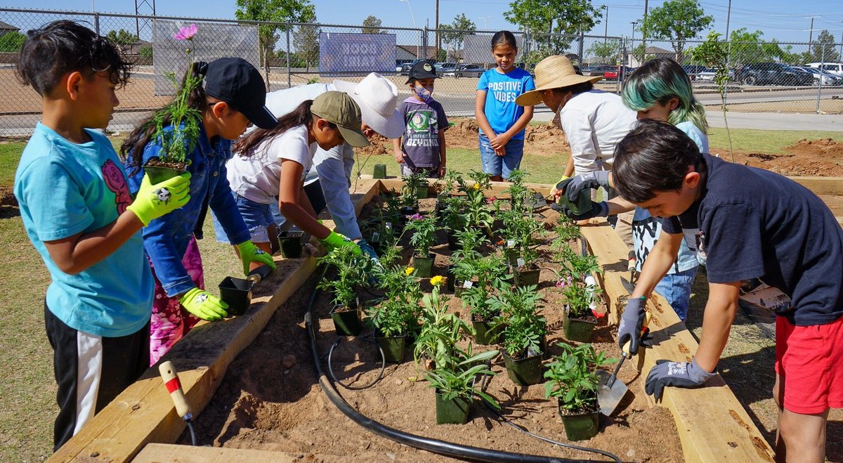 PdNH Foundation tweet media